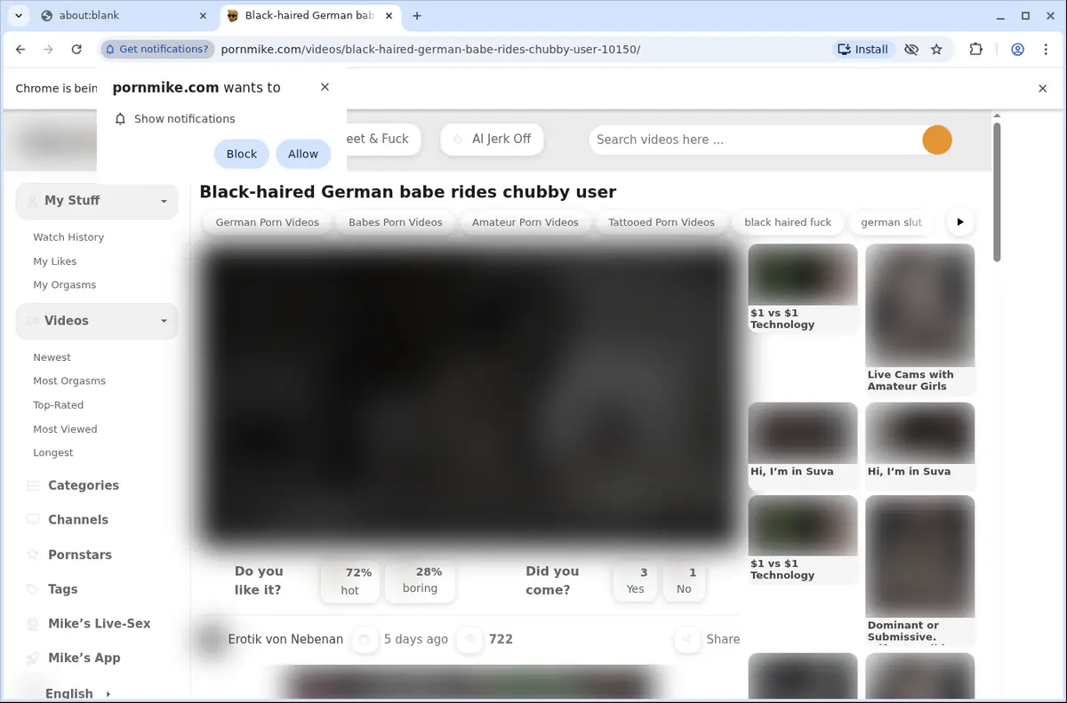 PornMike Downloader fullscreen screenshot