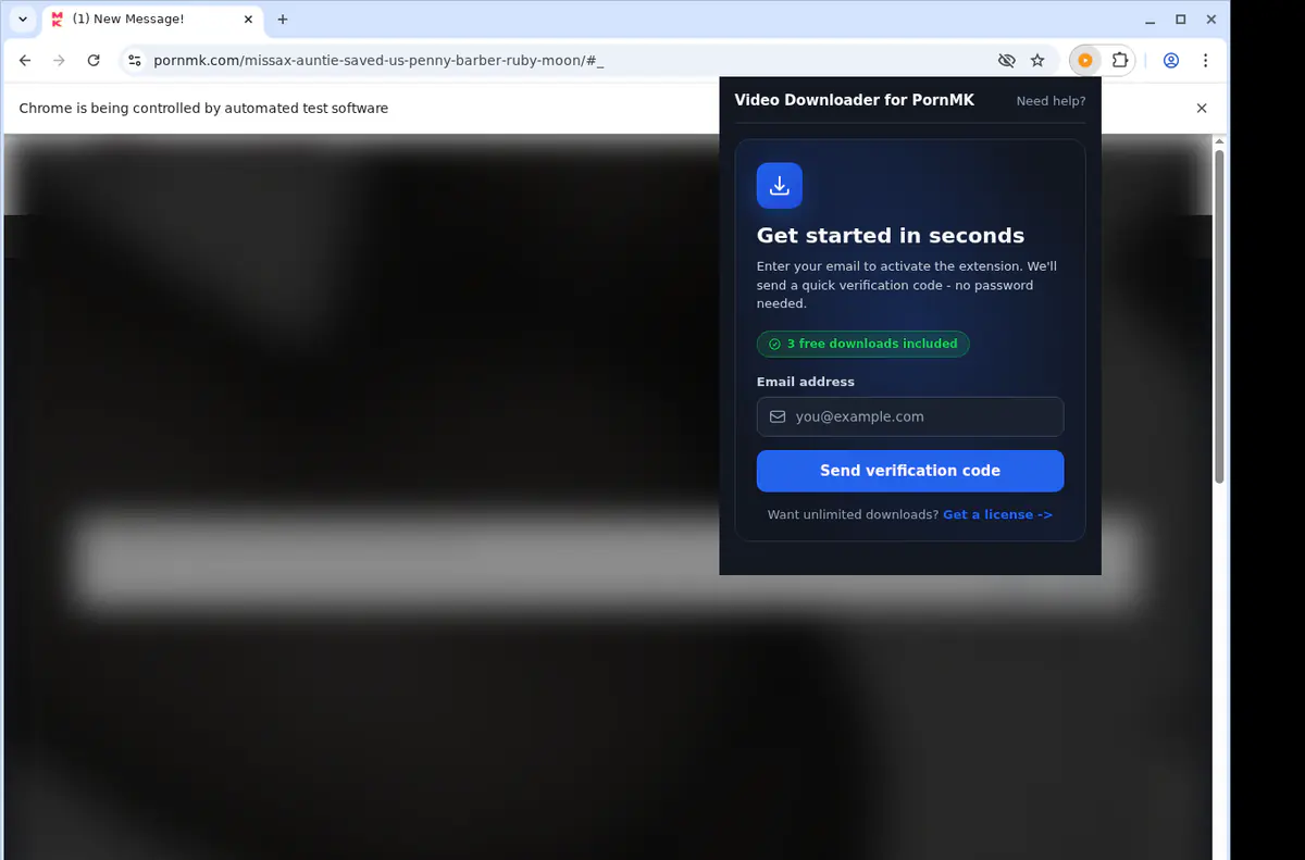 PornMK Downloader fullscreen screenshot