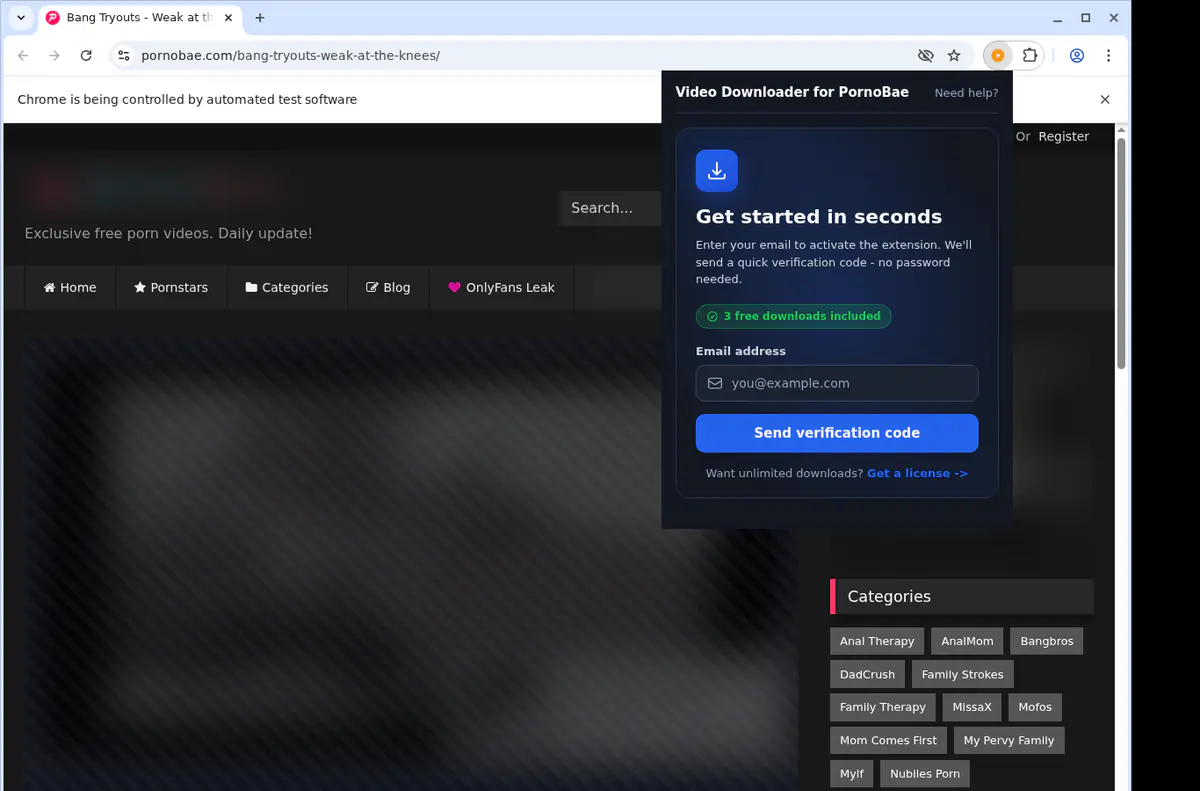 PornoBae Downloader fullscreen screenshot
