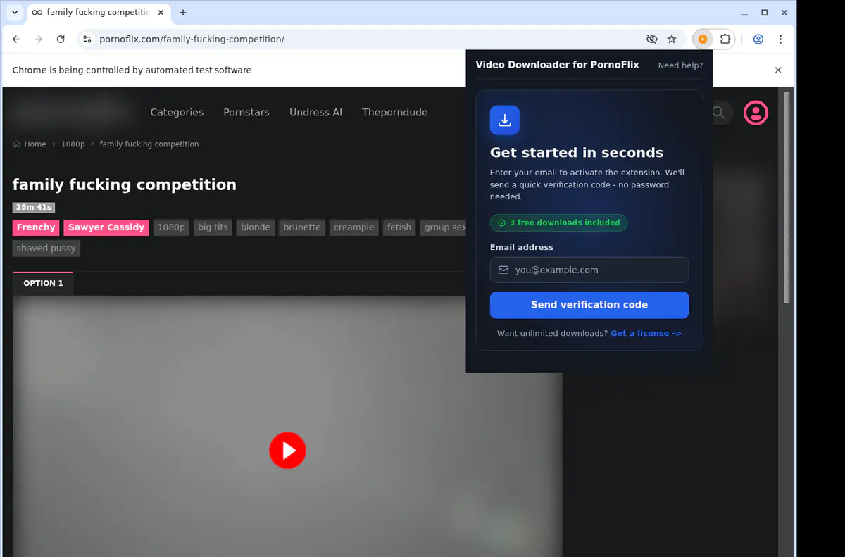 PornoFlix Downloader fullscreen screenshot