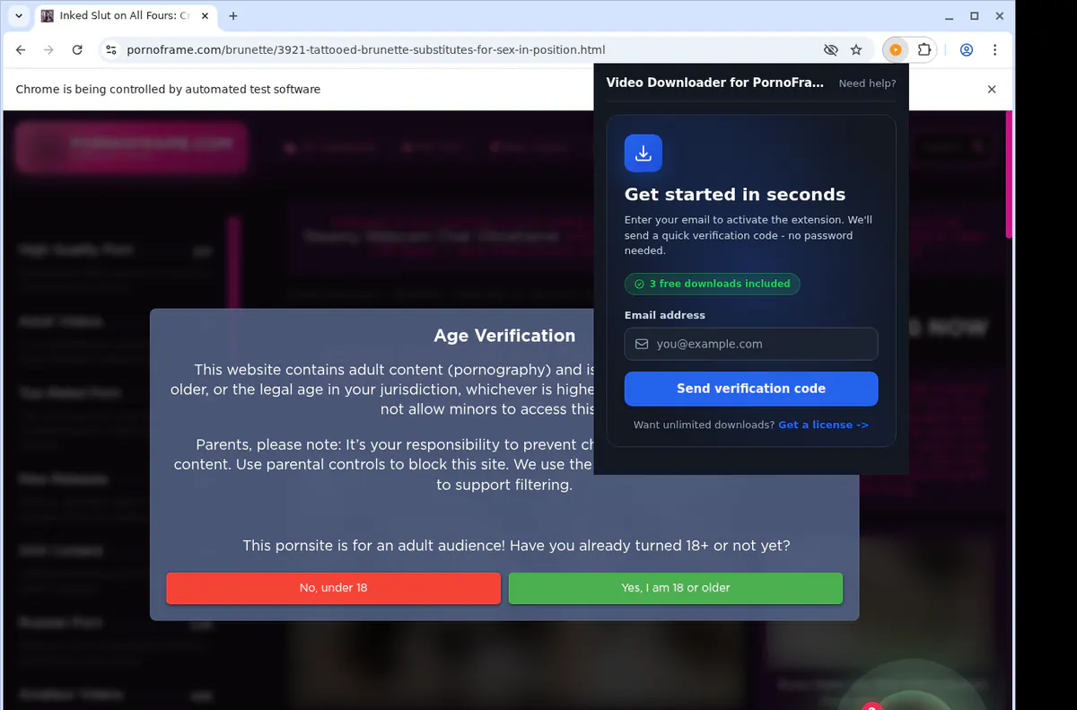 PornoFrame Downloader fullscreen screenshot