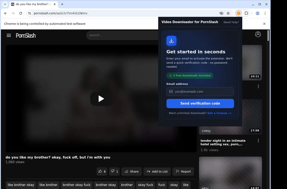 PornSlash Downloader fullscreen screenshot