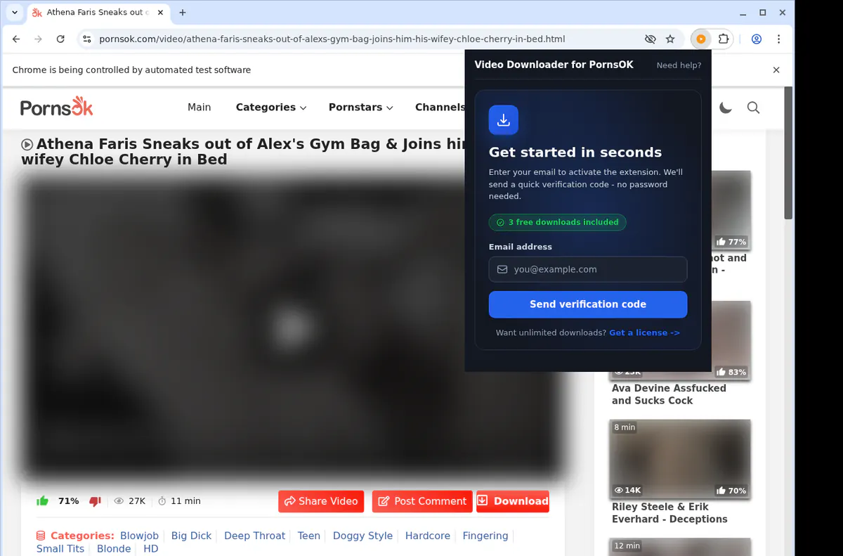 PornsOK Downloader fullscreen screenshot