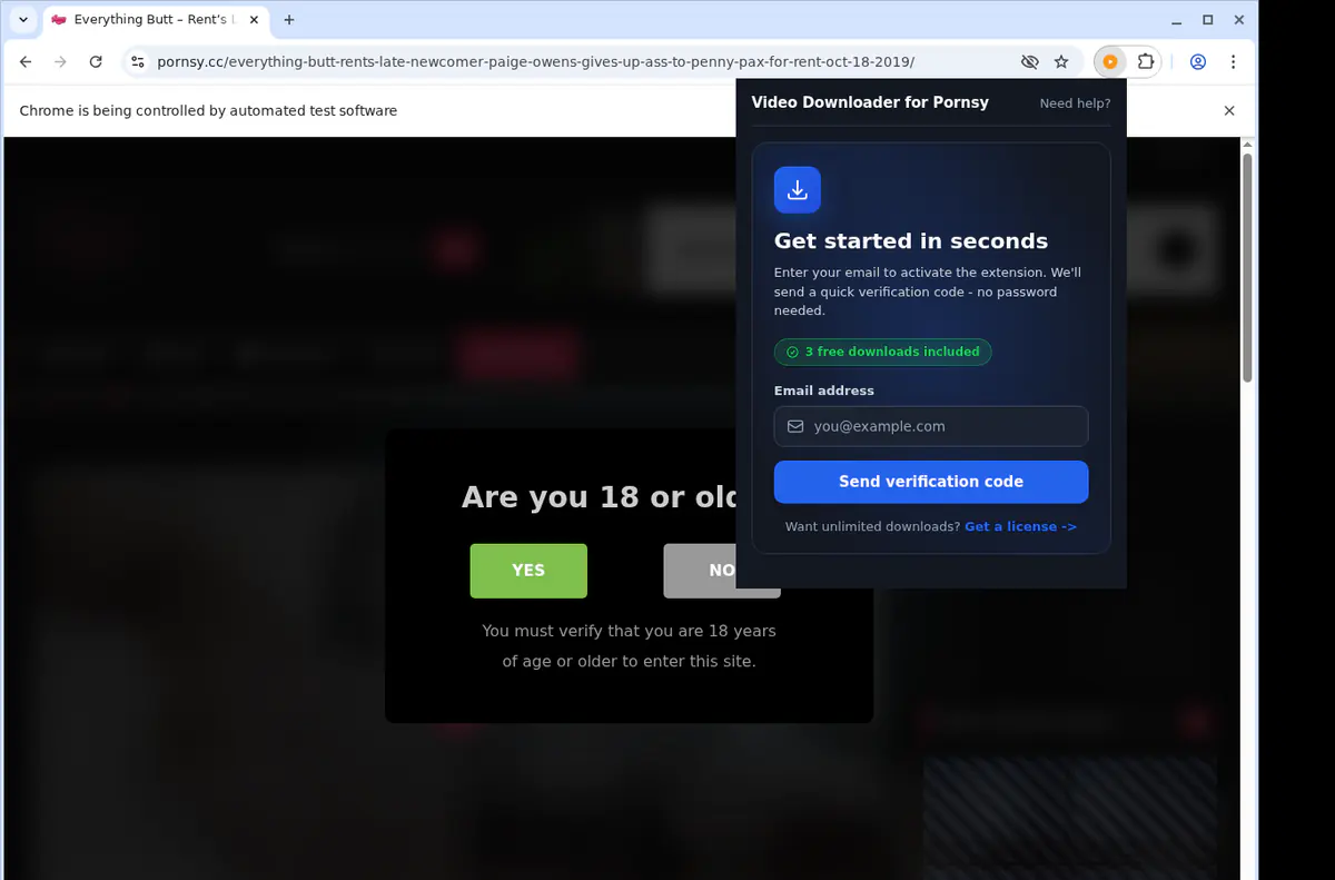 Pornsy Downloader fullscreen screenshot