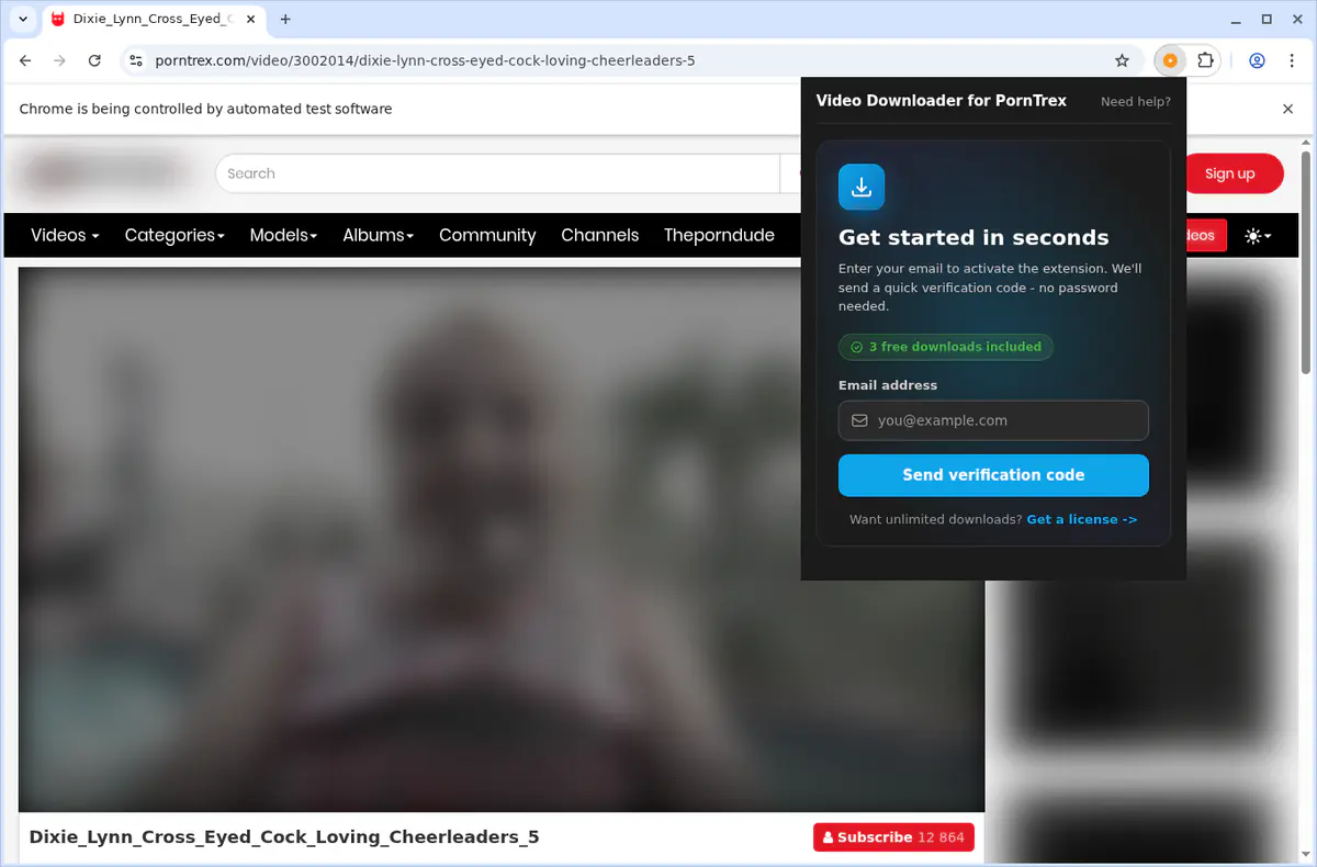 PornTrex Video Downloader fullscreen screenshot
