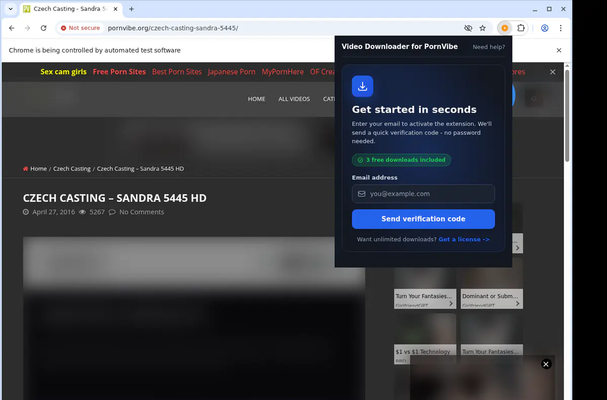 PornVibe Downloader fullscreen screenshot
