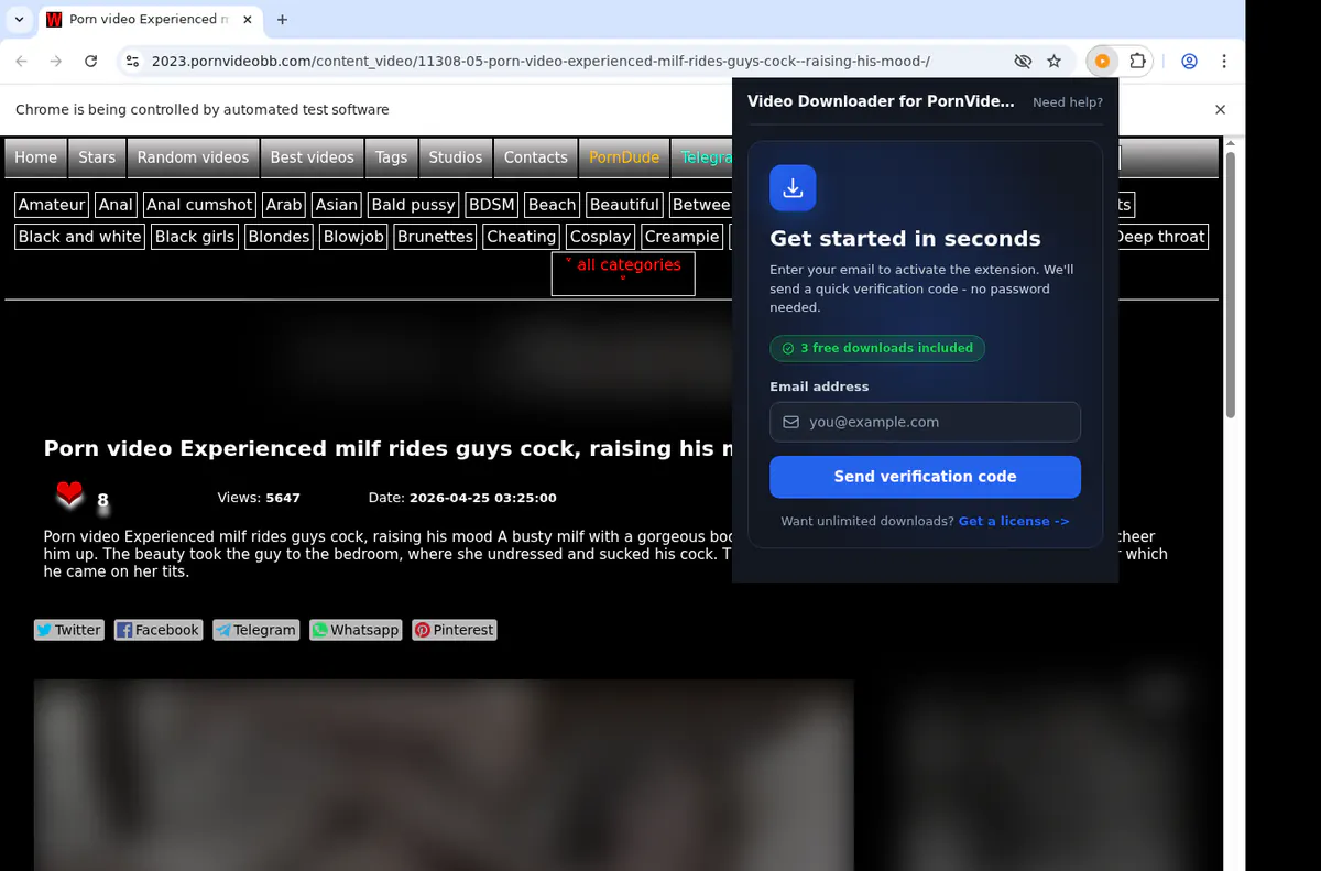 PornVideoBB Downloader fullscreen screenshot