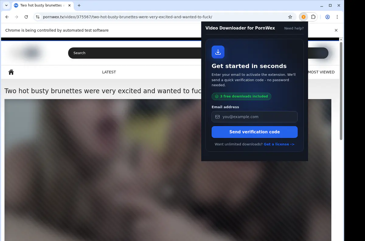 PornWex Downloader fullscreen screenshot