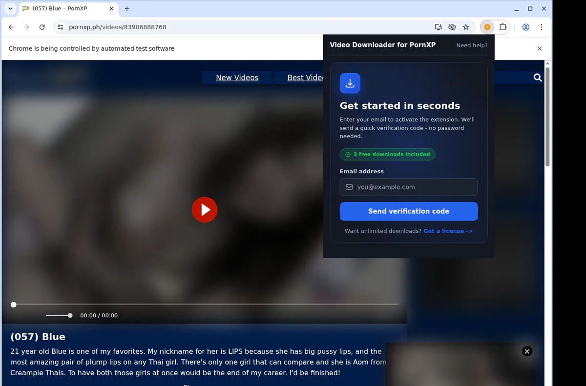 PornXP Downloader fullscreen screenshot