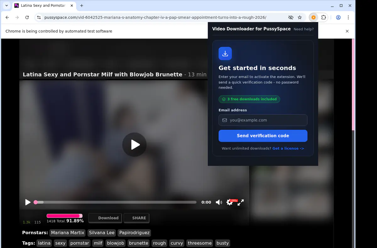 PussySpace Downloader fullscreen screenshot