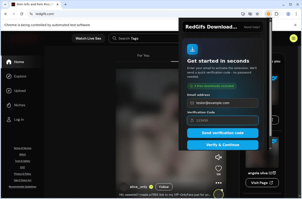 RedGifs Video Downloader fullscreen screenshot
