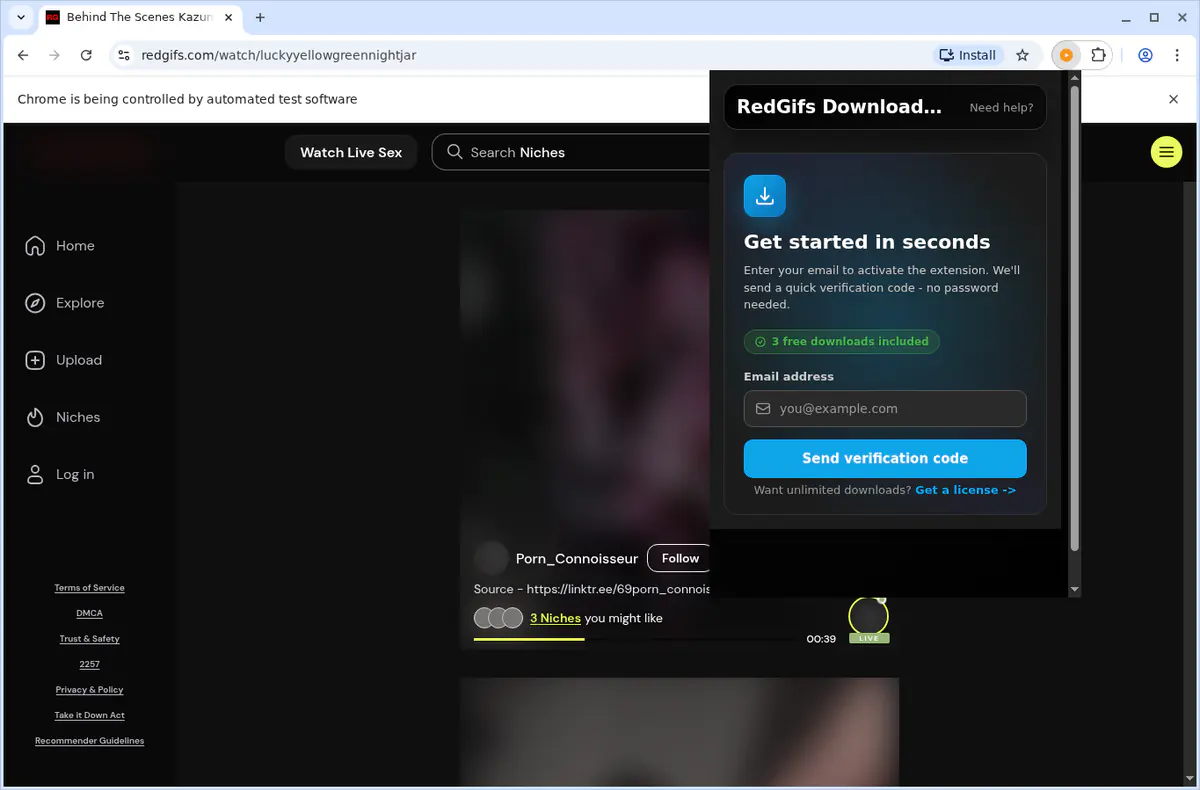 RedGifs Video Downloader fullscreen screenshot