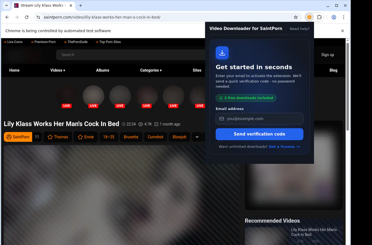 SaintPorn Downloader fullscreen screenshot