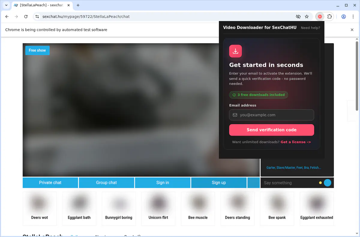 SexChat.hu Video Downloader fullscreen screenshot