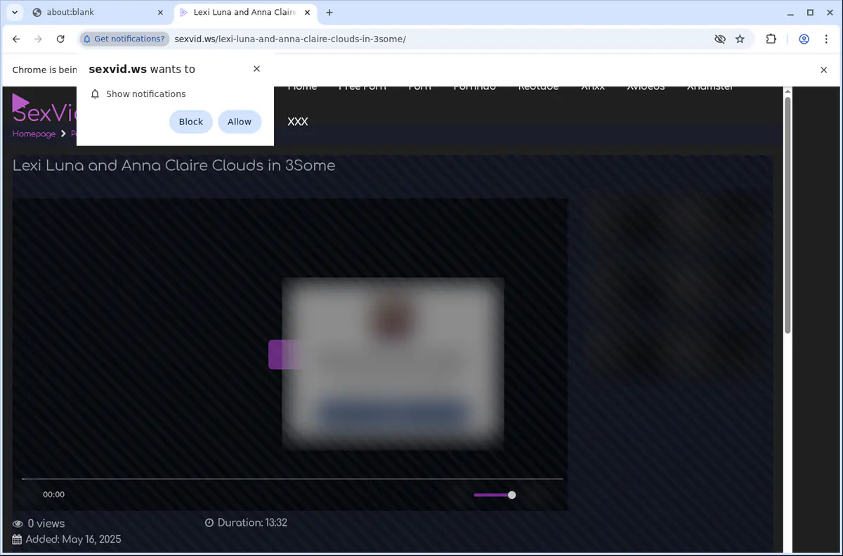 SexVid Downloader fullscreen screenshot
