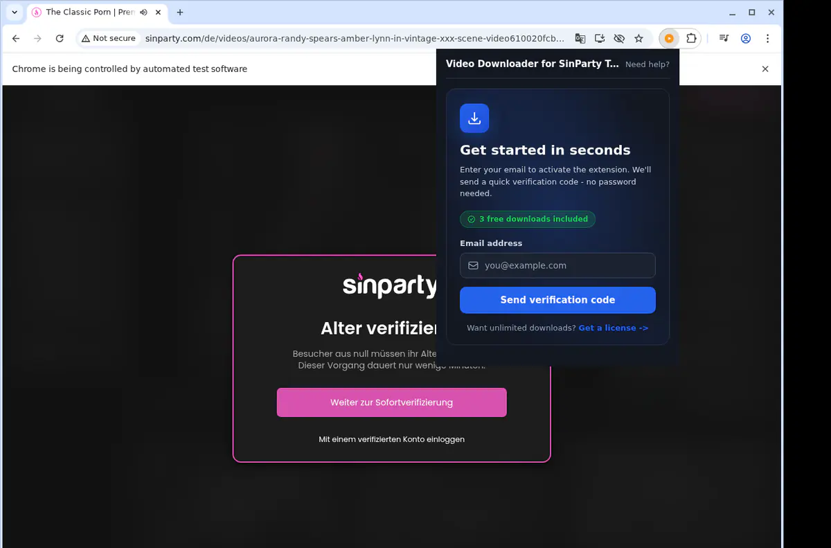 SinParty Tube Downloader fullscreen screenshot