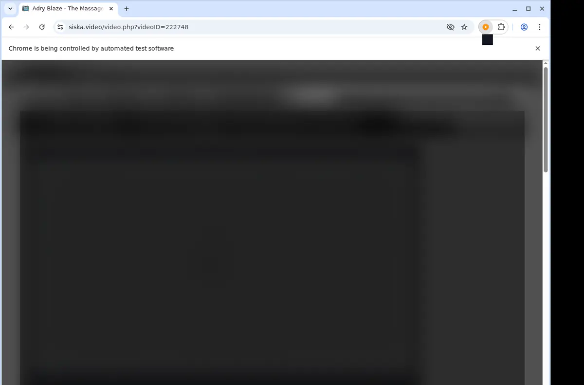 Siska Downloader fullscreen screenshot