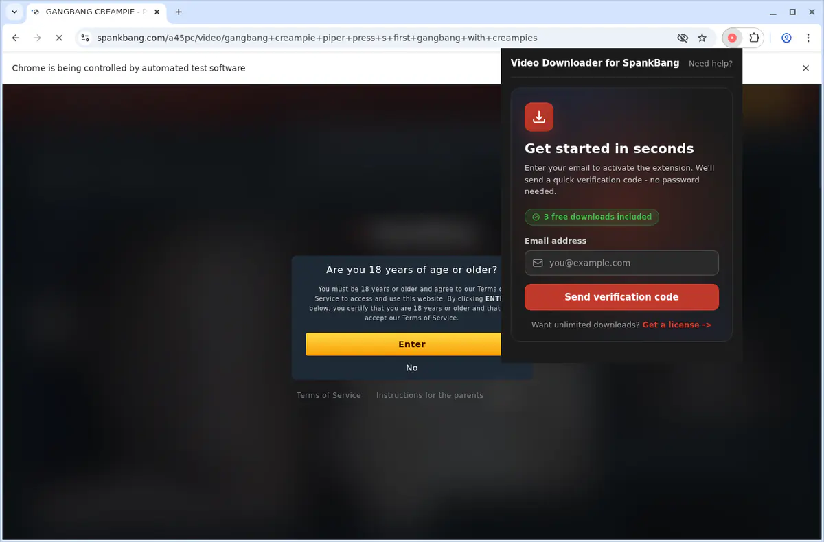 SpankBang Video Downloader fullscreen screenshot