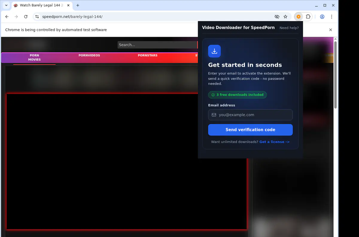 SpeedPorn Downloader fullscreen screenshot