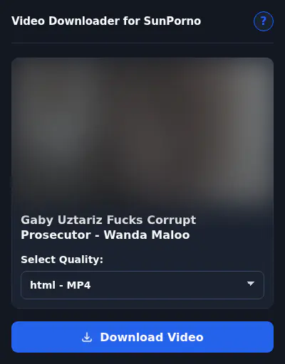 SunPorno Downloader fullscreen screenshot