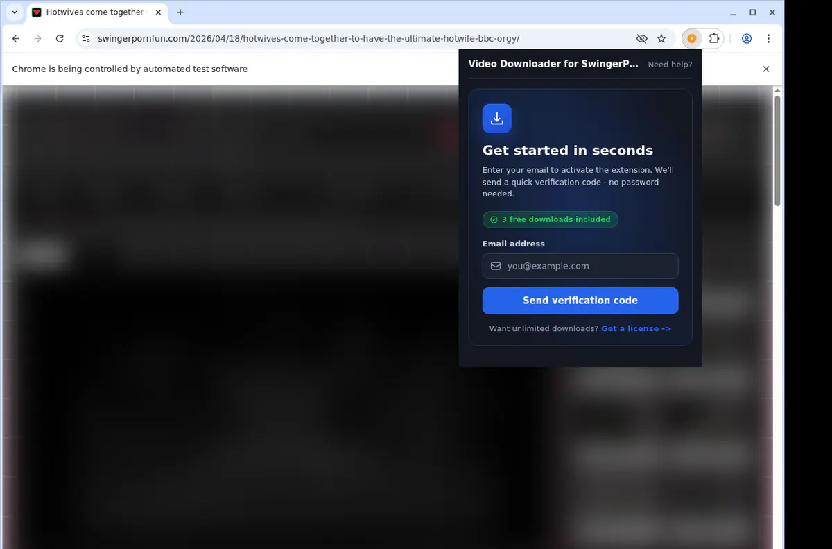 SwingerPornFun Downloader fullscreen screenshot