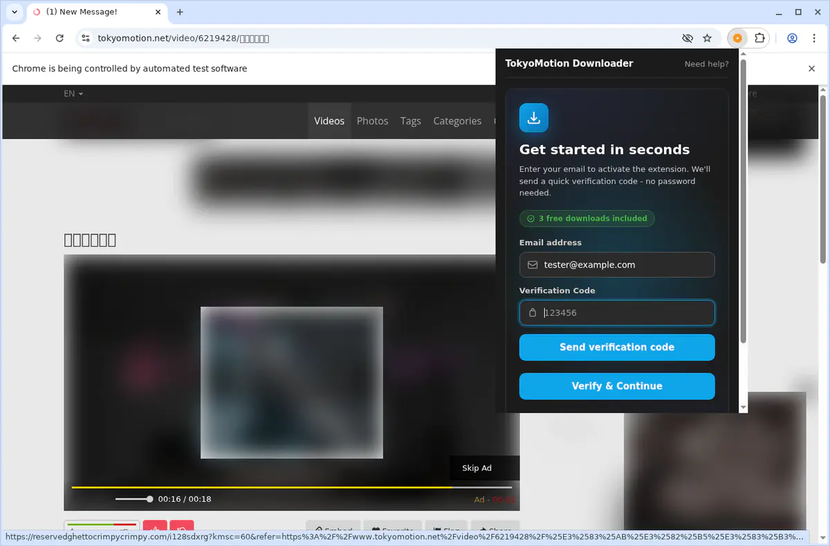 TokyoMotion Video Downloader fullscreen screenshot
