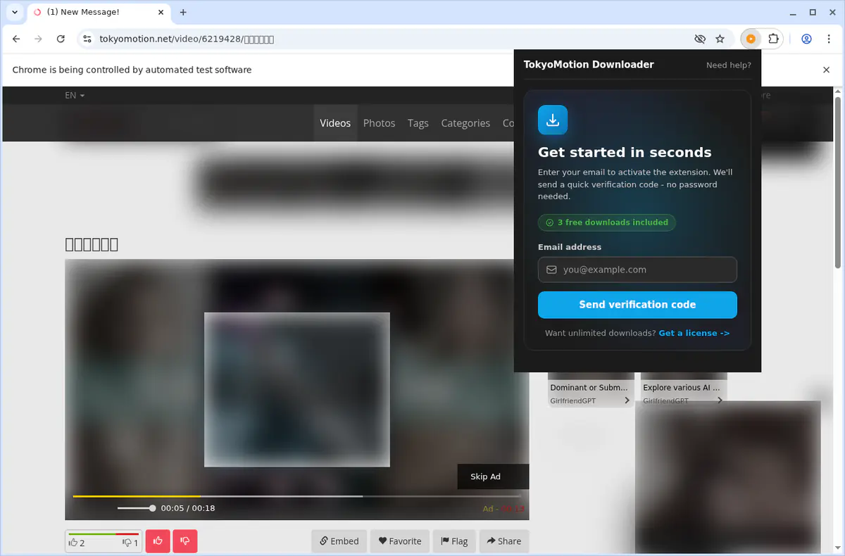 TokyoMotion Video Downloader fullscreen screenshot