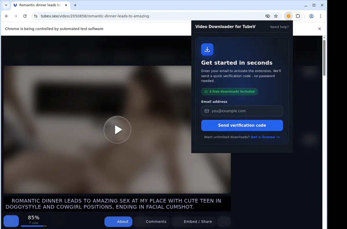 TubeV Downloader fullscreen screenshot