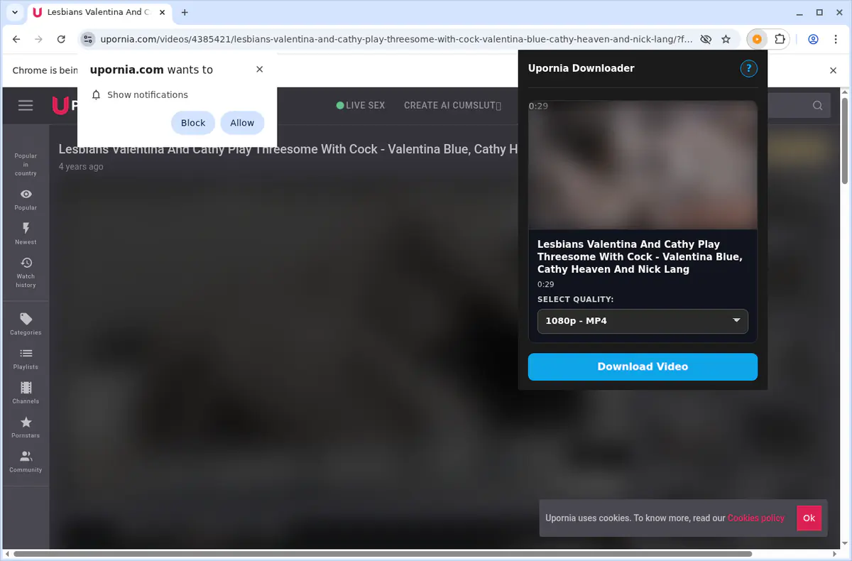 Upornia Video Downloader fullscreen screenshot