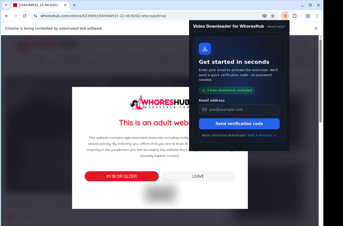 WhoresHub Downloader fullscreen screenshot