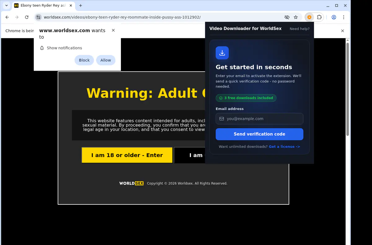 WorldSex Downloader fullscreen screenshot