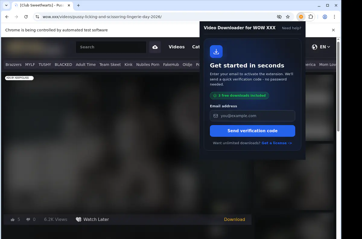 WOW XXX Downloader fullscreen screenshot