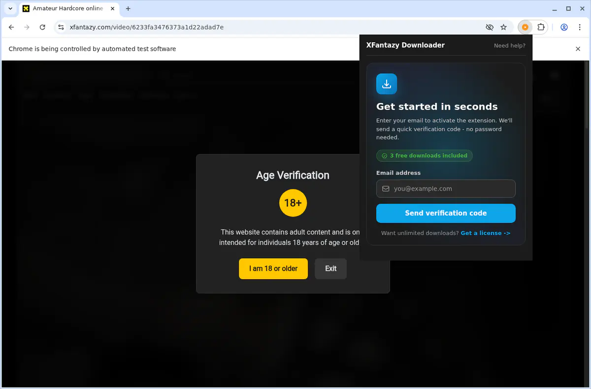Xfantazy Video Downloader fullscreen screenshot