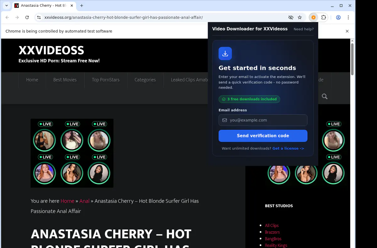 XXVideoss Downloader fullscreen screenshot