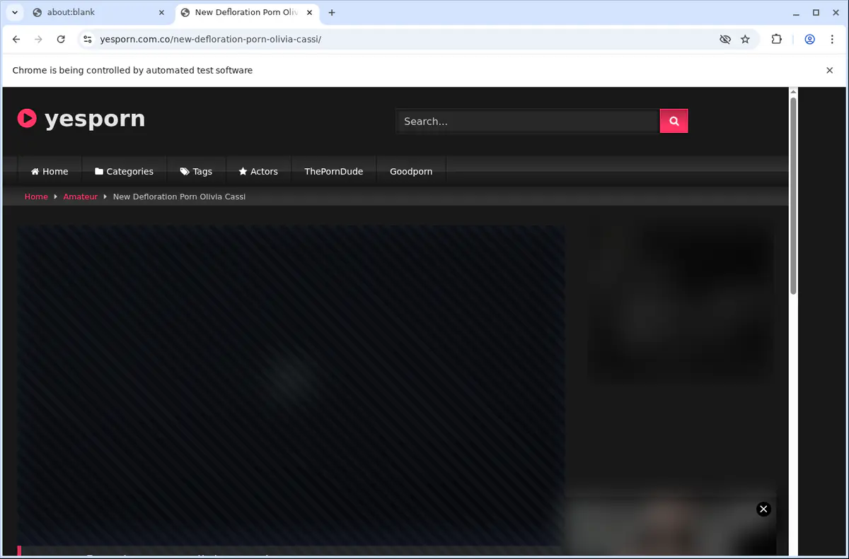 YesPorn Downloader fullscreen screenshot